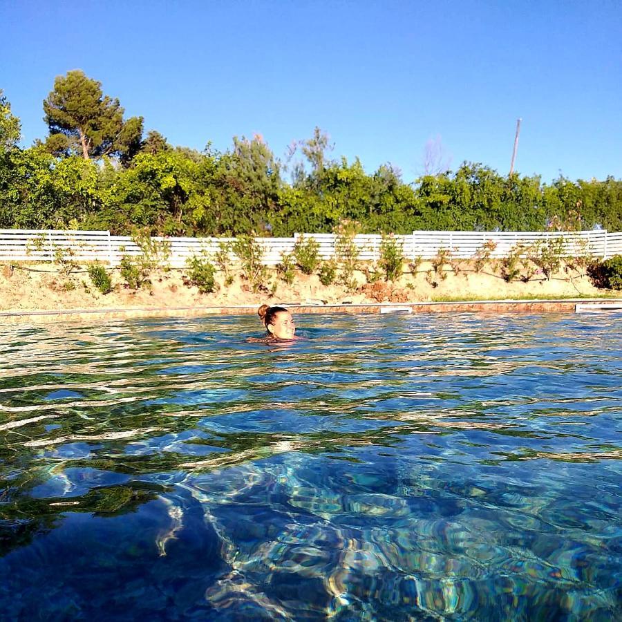 Agriturismo La Collina dei Cavalieri Belvedere Ostrense Esterno foto