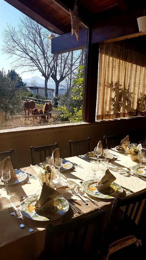 Agriturismo La Collina dei Cavalieri Belvedere Ostrense Esterno foto