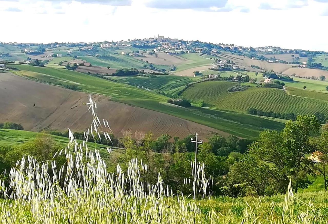 Agriturismo La Collina dei Cavalieri Belvedere Ostrense Esterno foto