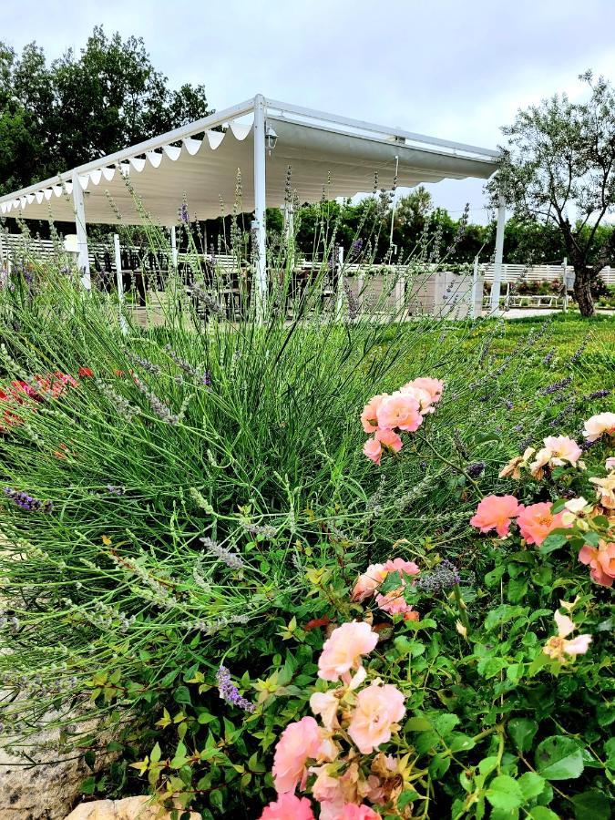 Agriturismo La Collina dei Cavalieri Belvedere Ostrense Esterno foto