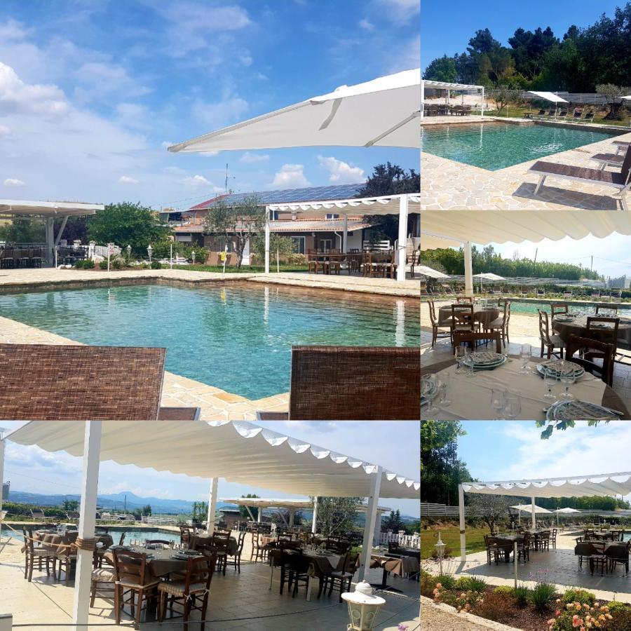 Agriturismo La Collina dei Cavalieri Belvedere Ostrense Esterno foto