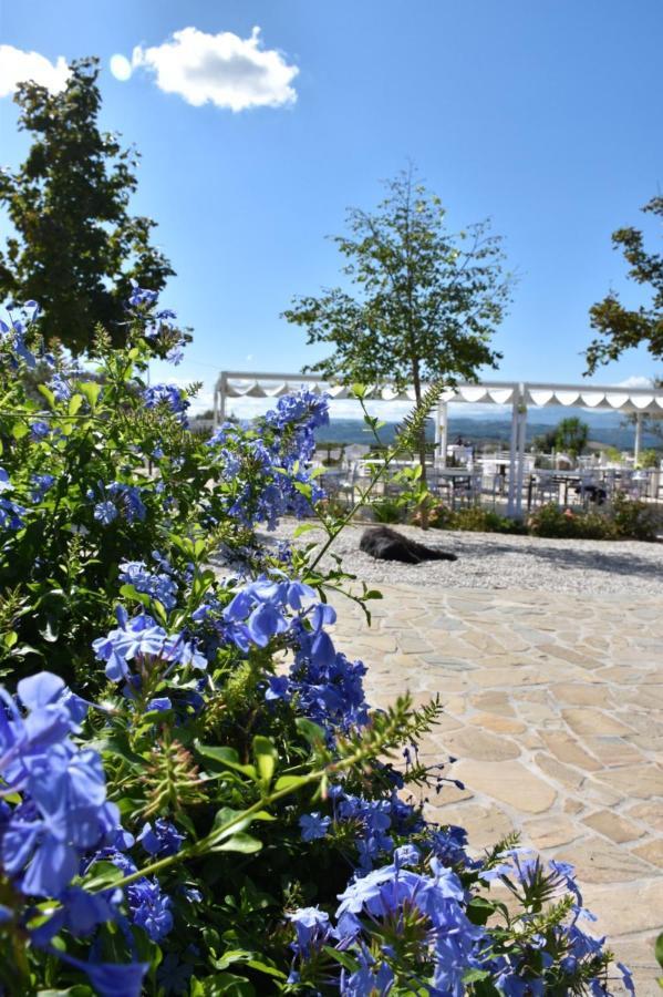 Agriturismo La Collina dei Cavalieri Belvedere Ostrense Esterno foto